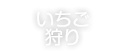 いちご狩り