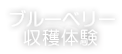 ブルーベリー狩り