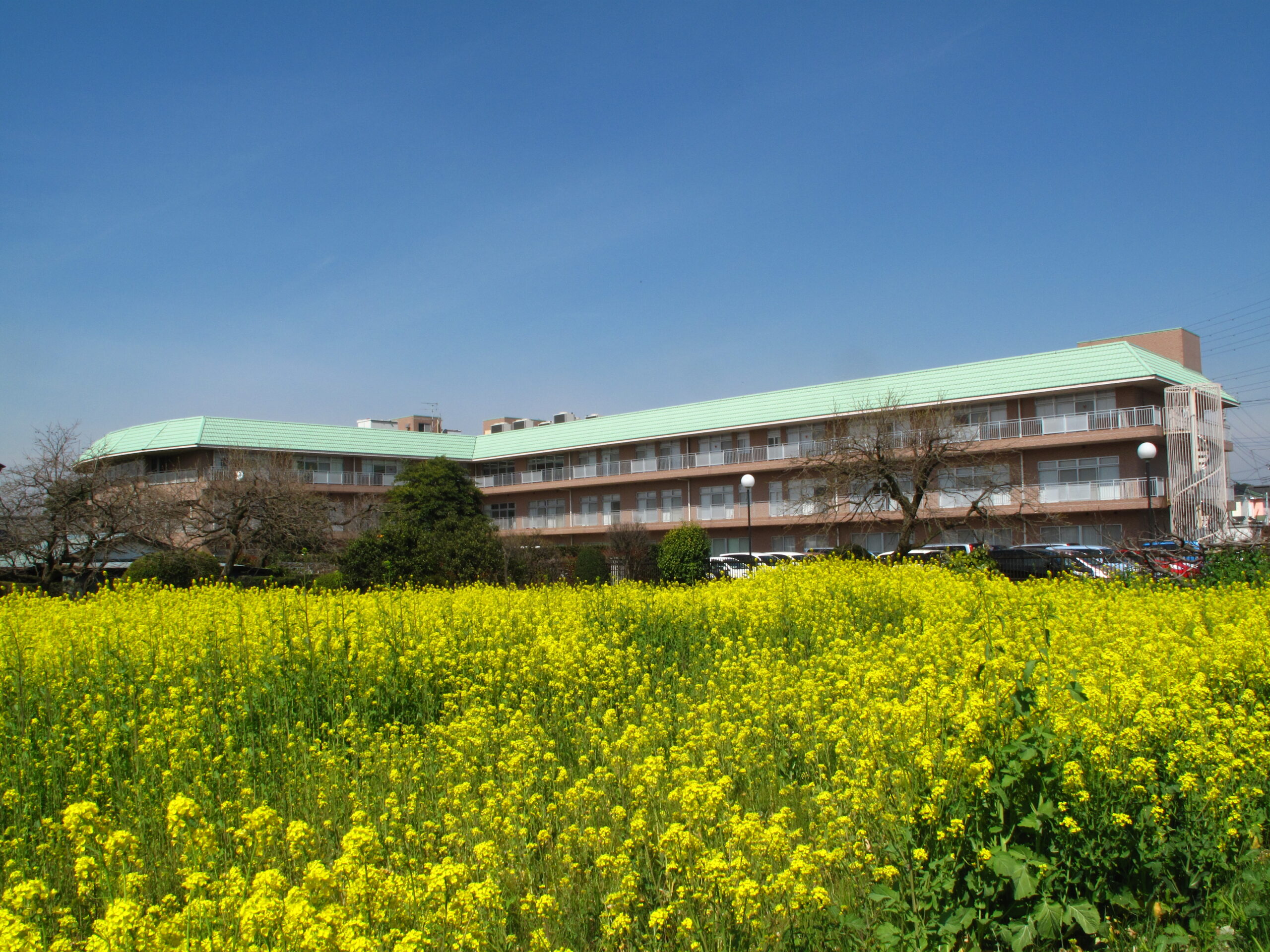 蓮田ナーシングホーム翔裕園