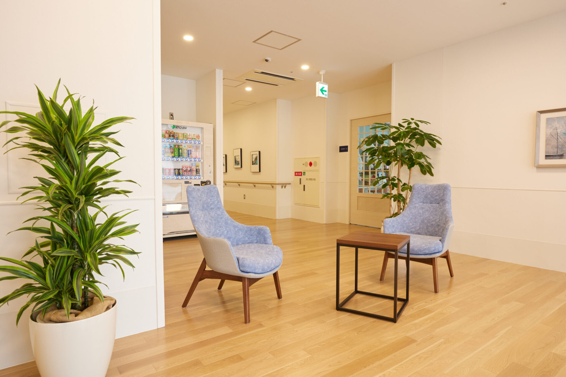 明るく清潔な共用ロビー。青いラウンジチェアと観葉植物が配置され、リラックス空間を演出